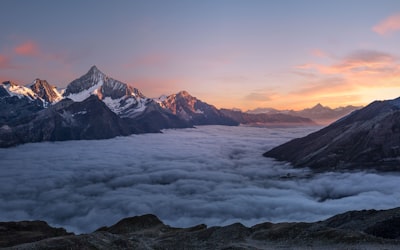 赛事深度分析与专题报道