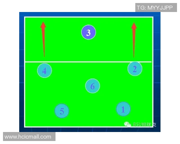 杭州排球队防反战术深度解析与实战应用探讨